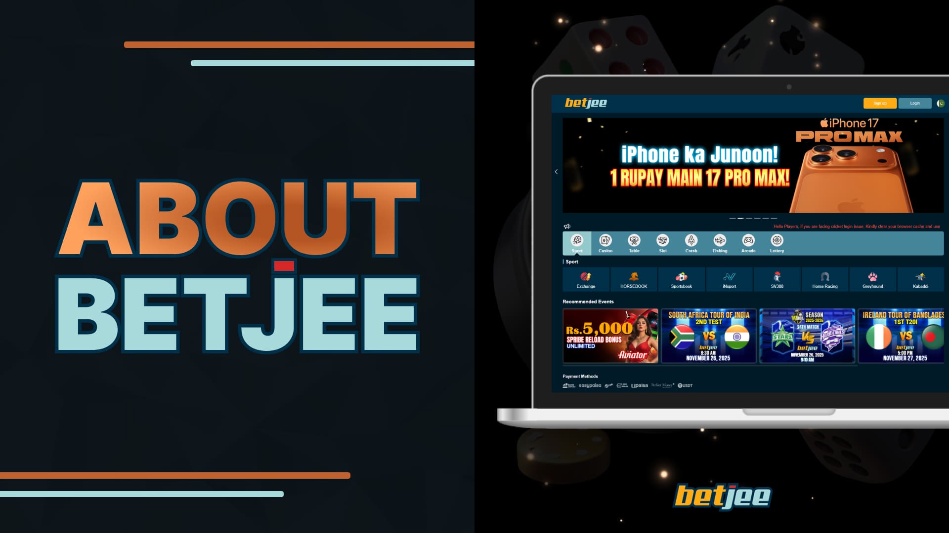 Betjee Pakistan general information about the platform and its characteristics, year of foundation, main advantages and main sections
